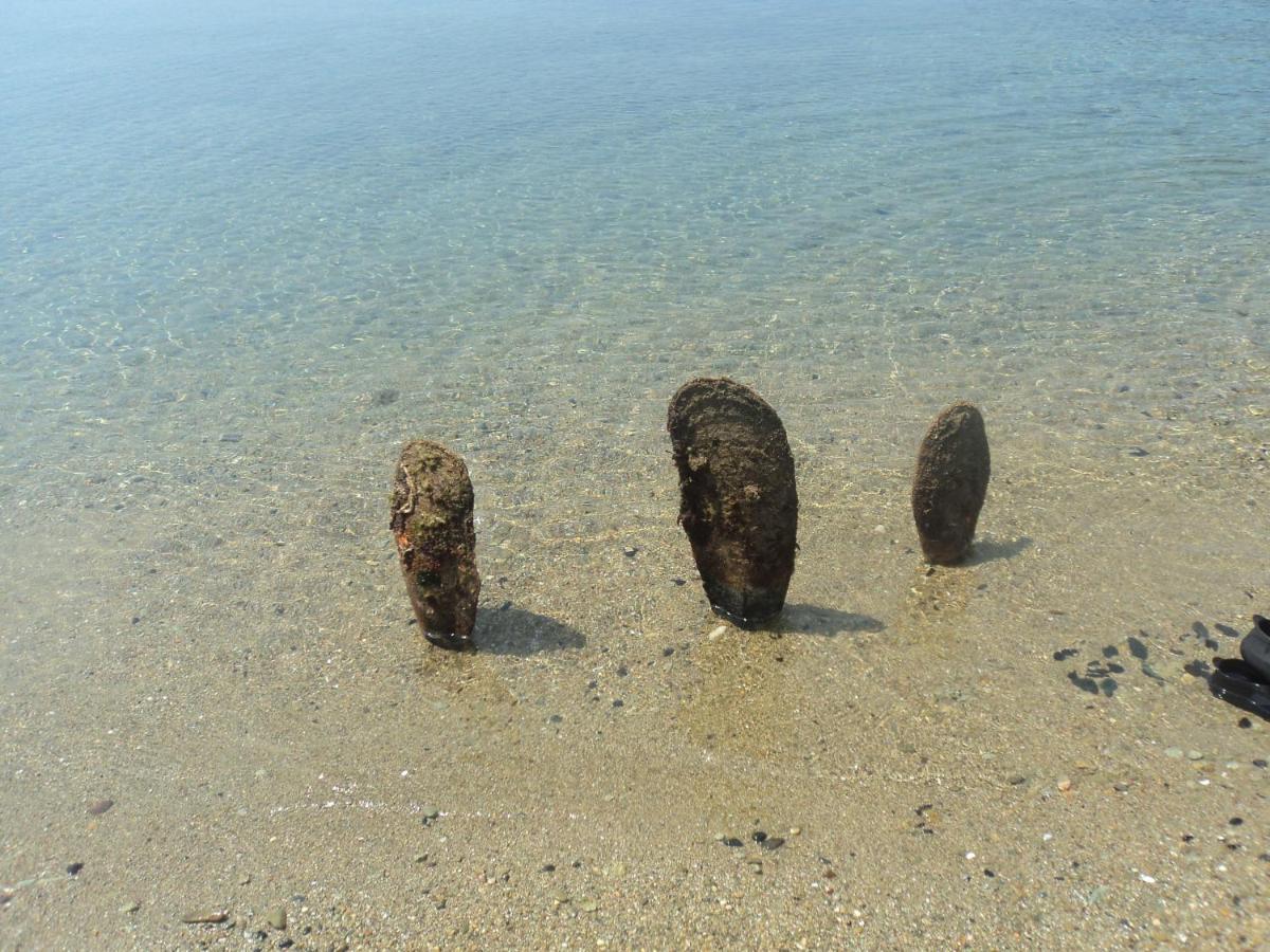 Paleo Trikeri Chiona΄S Apartments By The Sea מראה חיצוני תמונה